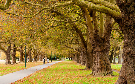 Call girl in Christchurch