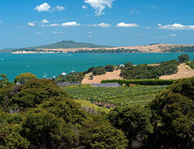 Waiheke Island near Auckland 